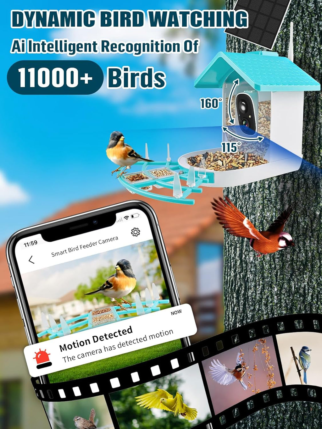 EBANKU Smart Bird Feeder with Camera, Solar Powered Dual Charge 1080P HD Video AI Identify 10000+Bird Species Bird Feeders for Outside, Bird Camera Gift for Bird Lover, Family, Friends