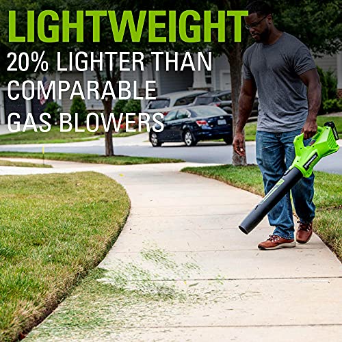 Greenworks 24V 12 inch String Trimmer, 2Ah USB Battery and Charger Included ST24B215