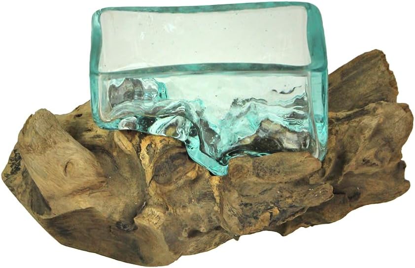 Rectangular Glass On Driftwood Decorative Bowl/Vase/Terrarium Succulent Planter Brown