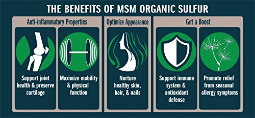 MSM Organic Sulfur Crystals by No Boundaries Health and Wellness – All-Natural, Premium Health Supplement: 99.9% Pure MSM – Benefits: Joint Pain, Allergies, Skin, Hair & Nail Health – No Fillers