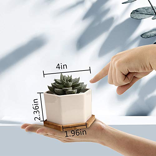 OAMCEG 6 Pack 4 Inch Succulent Pots - Small Succulent Planters, Set of 6 White Ceramic Succulent Cactus Plant Pots with Bamboo Tray(Plants NOT Included)