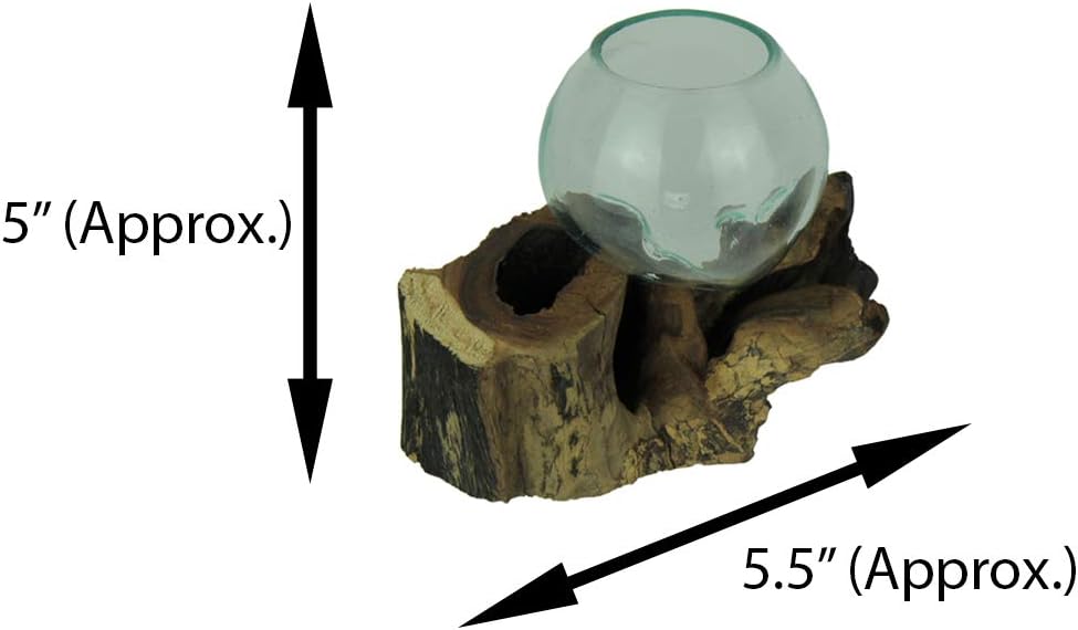 Molten Glass On Teak Driftwood Decorative Bowl Vase Terrarium Planter Set of 2
