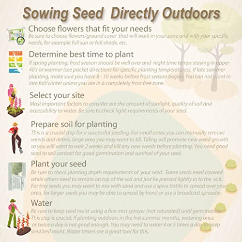 Outsidepride 1 lb. Perennial Blue Grama Native Grass Seed for Xeriscape Lawns & Pasture
