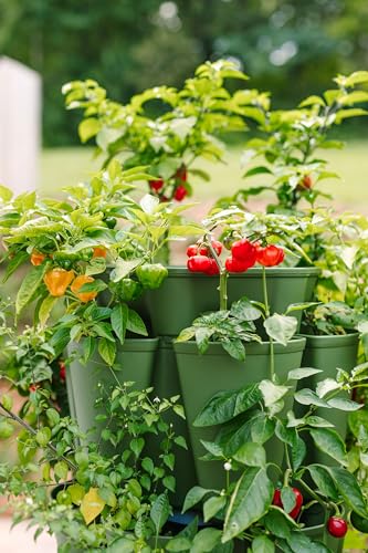 Greenstalk Patented Large 5 Tier Vertical Garden Planter with Patented Internal Watering System Great for Growing a Variety of Strawberries, Vegetables, Herbs, & Flowers (Stunning Stone)