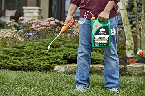 Ortho WeedClear Lawn Weed Killer Ready to Use with Comfort Wand: For Northern Lawns, 1.33 gal.