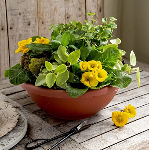The HC Companies 24 Inch Large Garden Bowl Planter - Shallow Plant Pot with Drainage Plug for Indoor Outdoor Flowers, Herbs, Black
