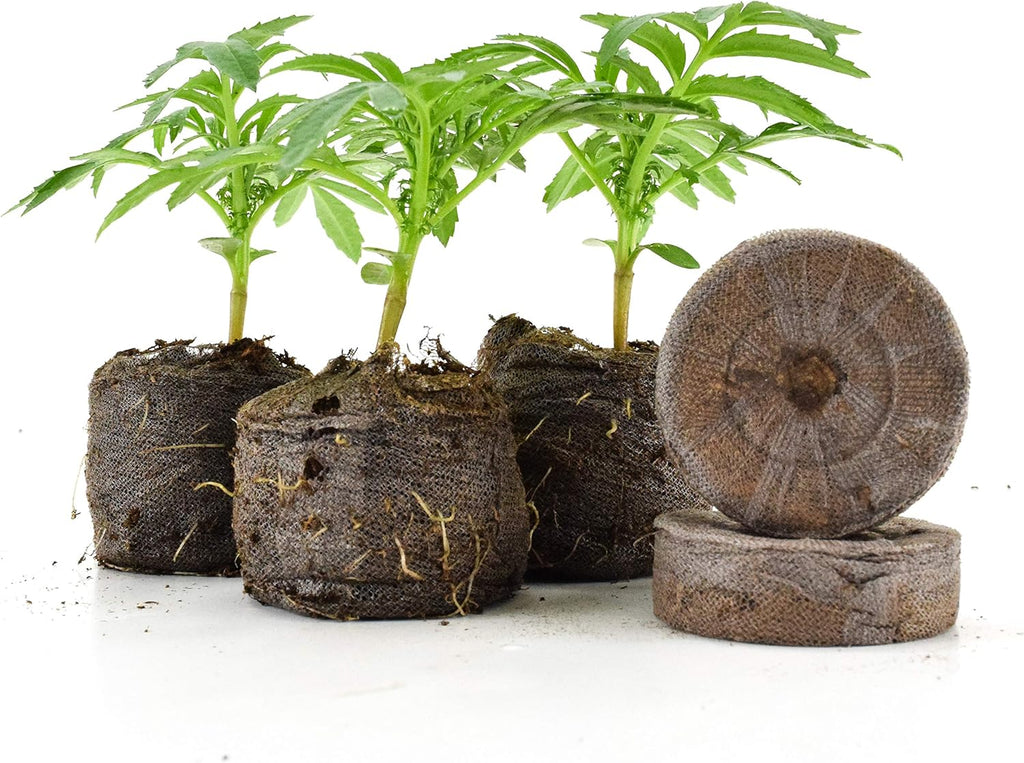 Jiffy GardenTrends Medium Pellets - Expands to 1-1/2" Diameter (36 mm) x 1-5/8" Tall - 50ct