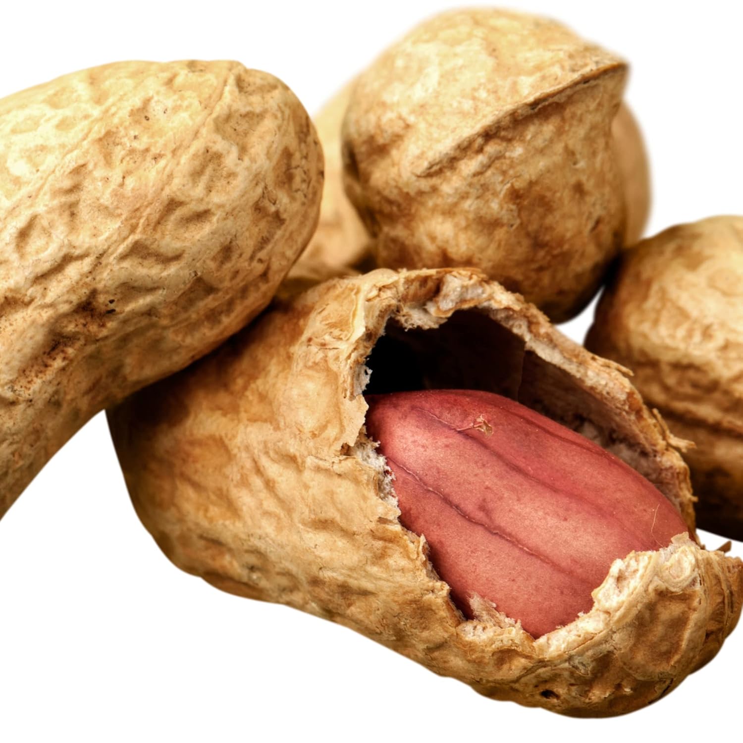 Amish Eco-Farm | Bulk Raw Peanuts in Shell, Virginia Grown by Hamptons Farms | Great for boiling, Squirrels feed, Birds feed and Wildlife. (25 lb box)