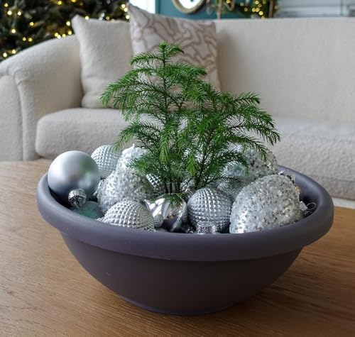 The HC Companies 24 Inch Large Garden Bowl Planter - Shallow Plant Pot with Drainage Plug for Indoor Outdoor Flowers, Herbs, Black