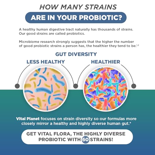 Vital Planet - Vital Flora Ultra Daily Probiotic 60 Billion CFU, Diverse Strains, Organic Prebiotics, Immune Support, Bloating Relief, Digestive Health Probiotics for Women and Men 30 Capsules