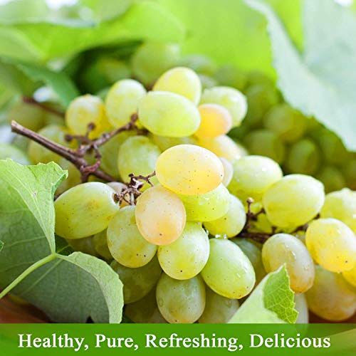 De La Rosa Austrian Red Grape Juice, Kosher, Non-GMO & Gluten Free, 100% Organic Red Grape Juice, No Sugar Added, No Preservative, Vegan Red Grape Juice, 25.4 Oz Glass Bottle (Pack of 2)