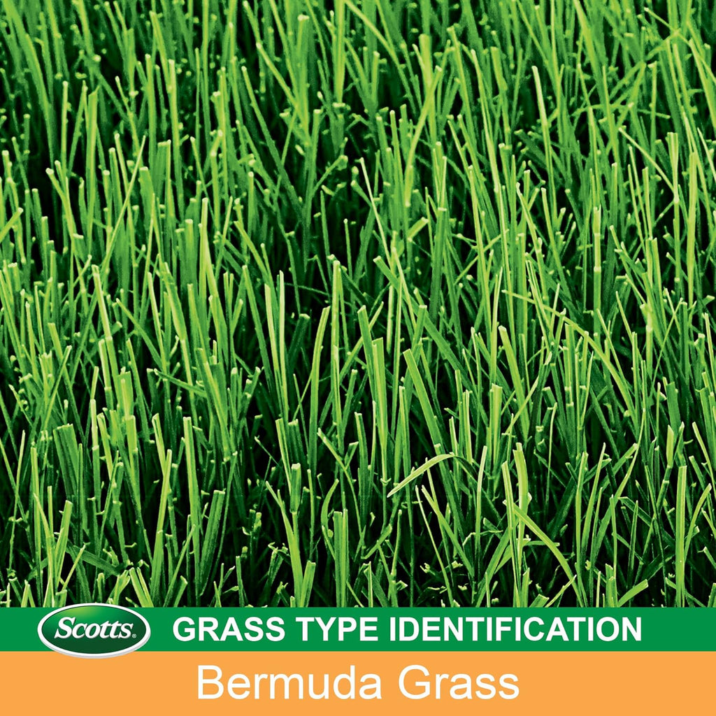 Scotts Turf Builder Grass Seed Bermudagrass, Mix for Full Sun, Built to Stand Up to Heat & Drought, 5 lbs.