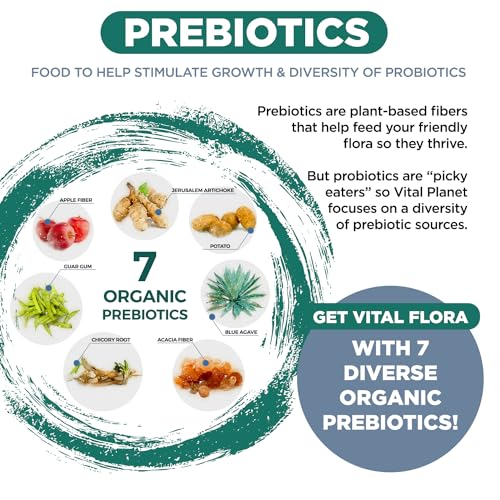 Vital Planet - Vital Flora Ultra Daily Probiotic 60 Billion CFU, Diverse Strains, Organic Prebiotics, Immune Support, Bloating Relief, Digestive Health Probiotics for Women and Men 30 Capsules