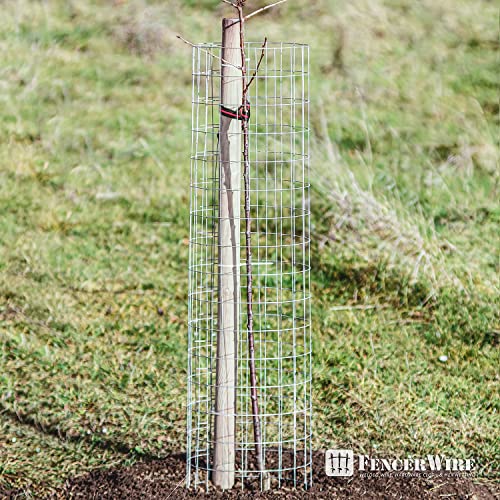 Fencer Wire 14 Gauge Galvanized Welded Wire Mesh Size 2 inch by 4 inch