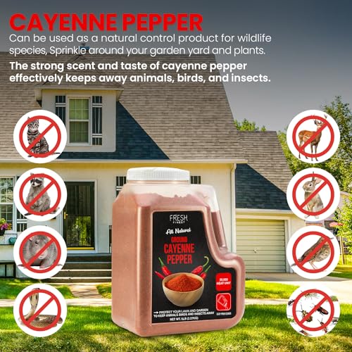 Cayenne Pepper Powder Bulk 5 LB All Natural Red Pepper Spice 50,000 SHU Heat, Commercial and Home Cooking