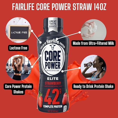 Worldwide Nutrition Bundle: Fairlife Core Power Elite 42g High Protein Milk Shake - Kosher, Chocolate Protein Shake for Workout Recovery - 14 Fl Oz (Pack of 12) & Multi-Purpose Key Chain