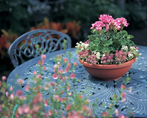 The HC Companies 24 Inch Large Garden Bowl Planter - Shallow Plant Pot with Drainage Plug for Indoor Outdoor Flowers, Herbs, Black