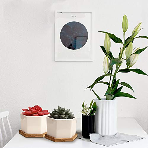 OAMCEG 6 Pack 4 Inch Succulent Pots - Small Succulent Planters, Set of 6 White Ceramic Succulent Cactus Plant Pots with Bamboo Tray(Plants NOT Included)