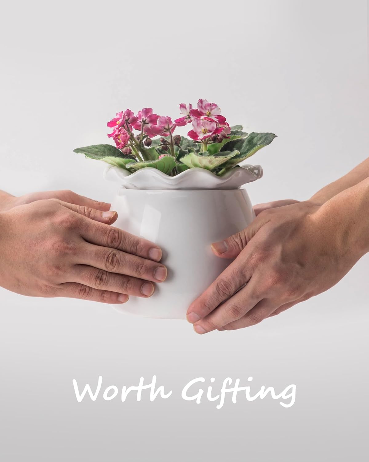 Self Watering Plant Pot, 6 Inch African Violet Pots Maintenance, Ceramic Self-Watering Planter for Indoor Plants - Ideal Flower Pot for Thriving Indoor Gardens