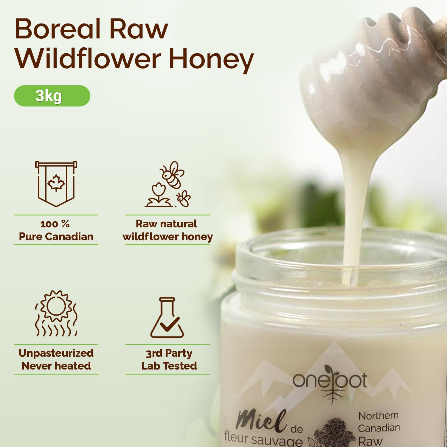 Oneroot 100% Canadian Wildflower Honey - 3kg / 6.6lb, Unfiltered, Unheated & Creamed, Nutrient Rich Raw Wildflower Honey With Enzymes, Thick Natural Sweetener