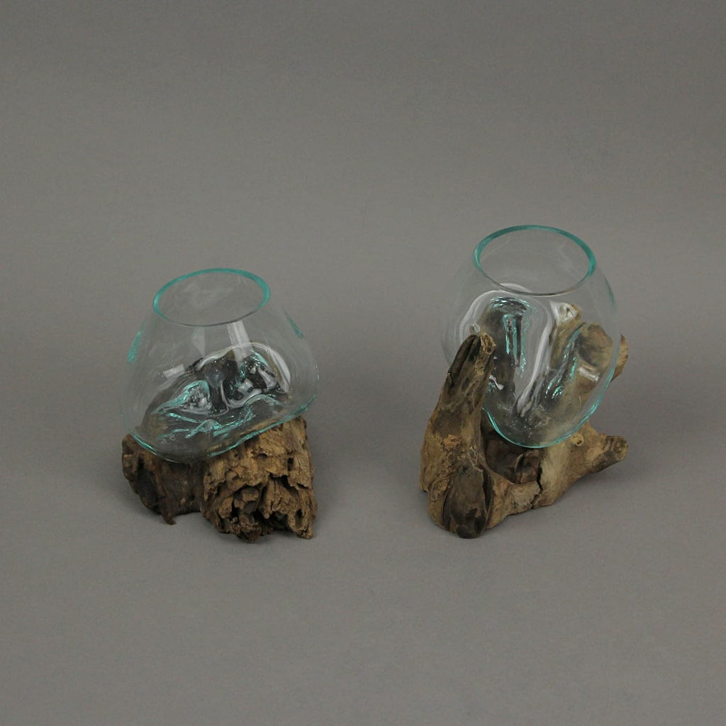 Set of 2 Glass and Teak Driftwood Decorative Bowls, Vases, and Terrarium Planters - Great for Bedrooms, Living Rooms and Offices - Versatile Boho Decor