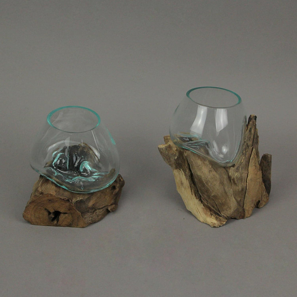 Set of 2 Glass and Teak Driftwood Decorative Bowls, Vases, and Terrarium Planters - Great for Bedrooms, Living Rooms and Offices - Versatile Boho Decor