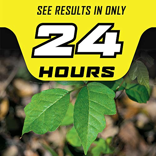 Ortho GroundClear Poison Ivy & Tough Brush Killer2 - Weed Killer Concentrate, 32 fl. oz.
