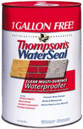 THOMPSONS WATERSEAL 24106 Surface Water Proofer, 6-Gallon