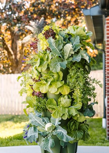 Greenstalk Patented Large 5 Tier Vertical Garden Planter with Patented Internal Watering System Great for Growing a Variety of Strawberries, Vegetables, Herbs, & Flowers (Stunning Stone)