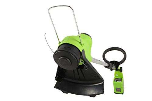 Greenworks 40V 12" TORQDRIVE™ String Trimmer, 2Ah USB Battery and Charger Included ST40B212